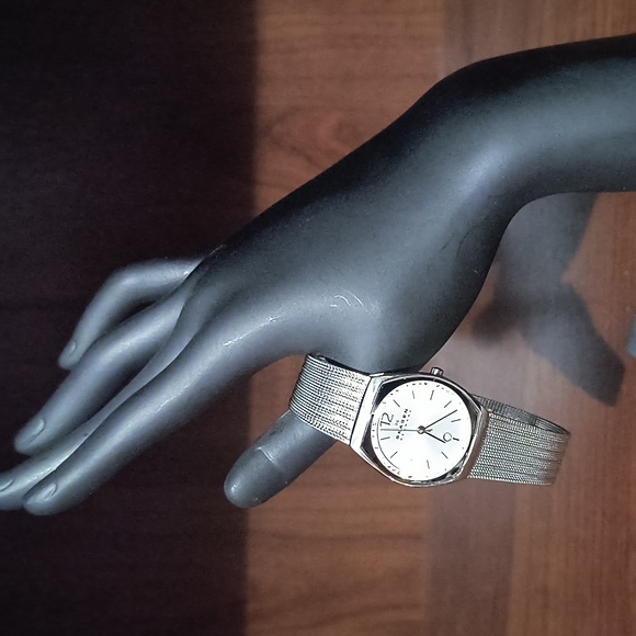 Skagen women's stainless steel wrist watch.